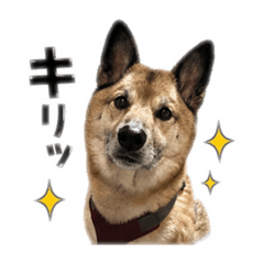 soraumi_20260427142946