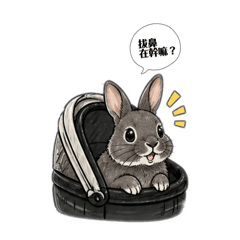 湯圓大塊頭的一天