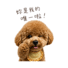 錢錢愛撒嬌