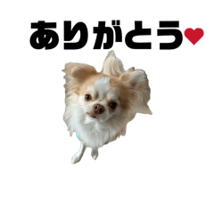 Natsumi_20260421230440