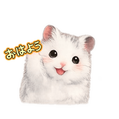 PET SEEYOUAGAIN_20260427143607