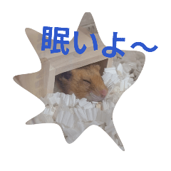 tankoro_20260427143703