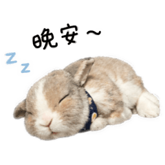 老老小吉的貼圖