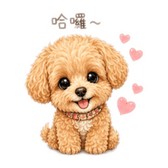 馬爾泰迪Ni的日常