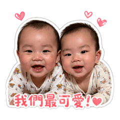 榮華雙寶
