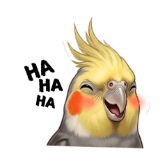 可愛玄鳳表情貼圖