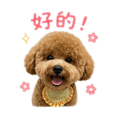 小狗錢錢日常