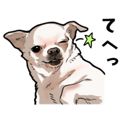 Taise-_20260427150714