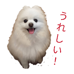 mattsunko_20260427145506