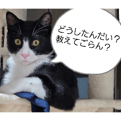 BLACK&WHITE_20260427193042