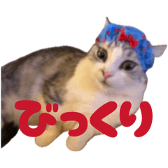 churi_20260427193628