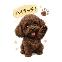 ankoro_20260427193015