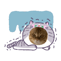 Nuunam_20260427214520