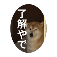 Nasub1_20260427193259