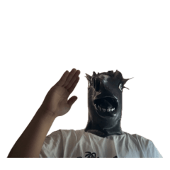 sakana_20260427153352