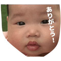 TAITAN_20260427154227