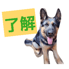 takahas hihitosi_20260427153858