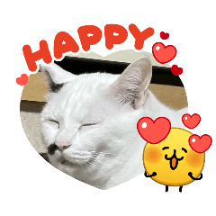 kurosirochan_20260427154346