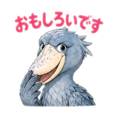 Cute adorable shoebill