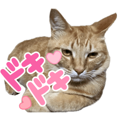 mojiro_20260427164347