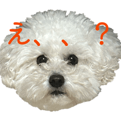 masataka_20260427164911