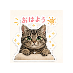 komugi_20260427164729