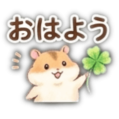 rinko_20260427164752