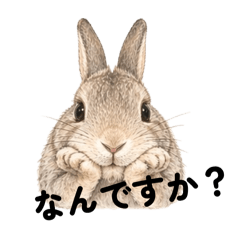 Ikura_20260427201152