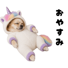 Marni the Chiweenie(Unicorn)