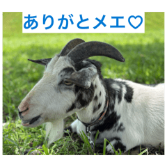 Haiji_20260427201000