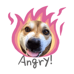 mu&kapu_20260427201803