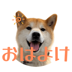 Enjoy_20260427201636