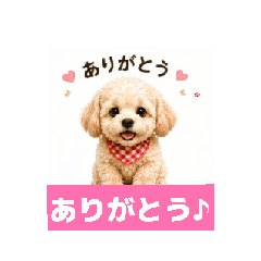 maron & baron_20260427141944