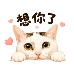 Nami納咪小寶寶Q版日常