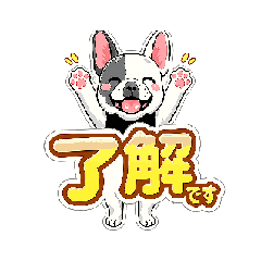 fujiyan8_20260427163742