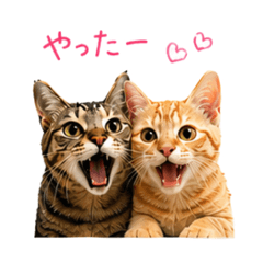 Rinne_20260427171318
