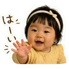 kiho_20260427204421