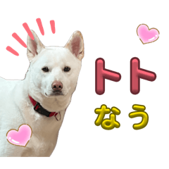 Anpanmannn_20260427161727
