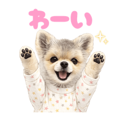 DOG STAMP ORDER_20260427175037