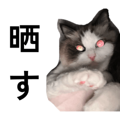 mofuo_20260421044146