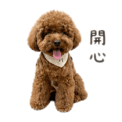 That noisy dog迪寶