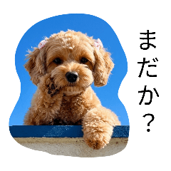 kurumi_20260427170142