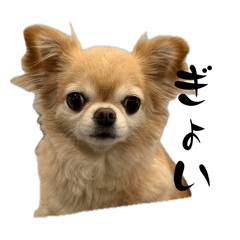 manoro_20260427211632