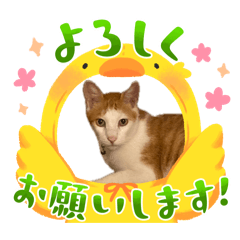 toshi_20260427211210