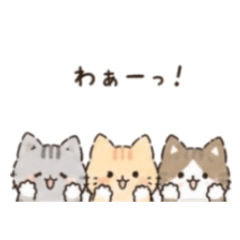 yuzuneko_20260427211923