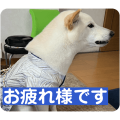 imaky_20260427212143