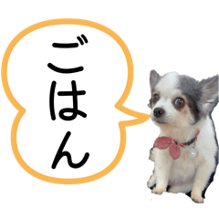 comugi_20260427214713