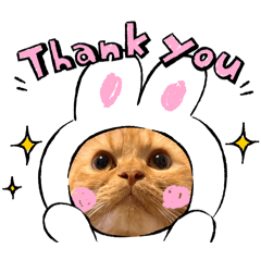 FUJIWARA_20260427214302