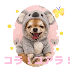 Misato_20260427215231