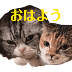 TAKAHIRO_20260427215556